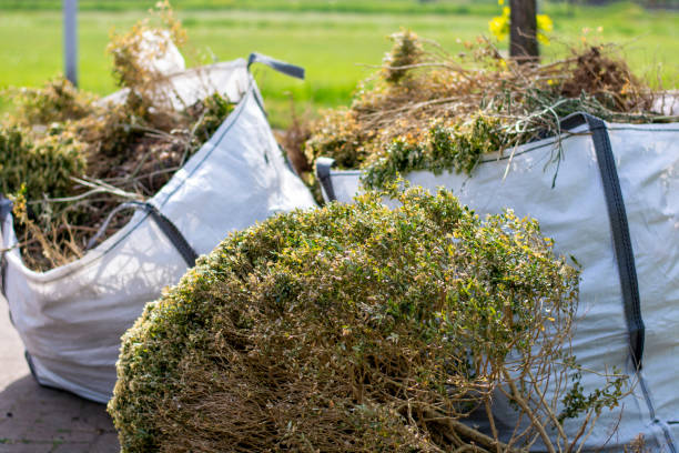 Full-Service Junk Removal in Trumansburg, NY